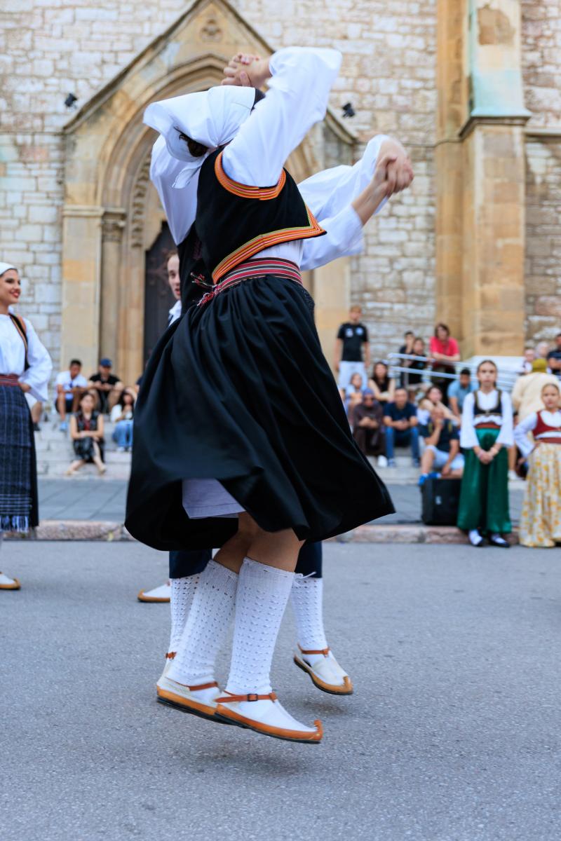 KONCERT SVE BOJE TRADICIJE 13.07.2026